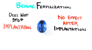 Illustration for article titled This Handy Video Explains How Plan B Works and Why It's Not an 'Abortion Pill'
